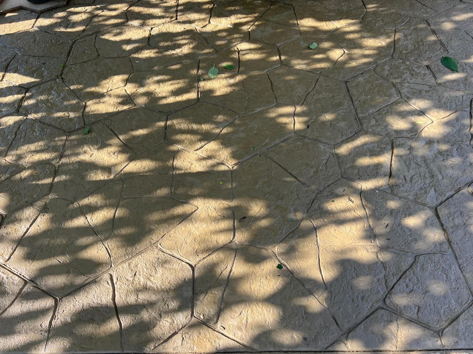 Stamped Concrete project 6